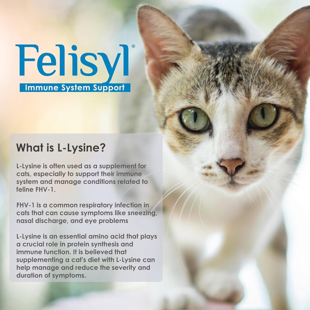 猫のためのL-リジンゲル - 免疫システムサポート - 健康な組織、呼吸器、およびビジョンのためのサプリメントサポート - サーモン風味 - 米国製 - 5 oz