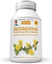 ANDREW LESSMAN Berberine Phospholipid Complex 60 カプセル - Barberry Root エキス. カプセルを飲みやすい小型
