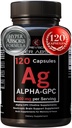 ハイパー吸収のためのアルファGPCの補足及びBioPerine - サービングごとの120の計算、アルファGPC 600mg - 記憶、焦点、エネルギーおよびドライブのためのNootropics - 米国で作られたAcetylcholineのブーストへのコリンの補足
