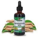 Nature's Answer Ashwagandha Root | ハーバルサプリメントは、健康な免疫機能を維持 | ストレスに対するボディサポート | グルテンフリー、アルコールフリー、ビーガン2oz
