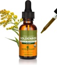 ハーブ Pharm は泌尿器系サポート、1 の Fl Oz (パッケージ 1) の有機性 Goldenrod の液体のエキスを証明しました
