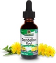 Nature's Answer Dandelion Root 2000mg 1oz Extract | 全体的に幸福を促進します | アルコール&グルテンフリー、非GMO、ビーガン、防腐剤や人工味なし | シングルカウント