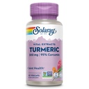 SOLARAYターメリックサプリメント300mg - 95%クルクミン付きターメリックルートエキス - 関節の健康と快適のための共同サポートサプリメント - 非GMO、ビーガン、グルテンフリー、60日間保証、60サービング
