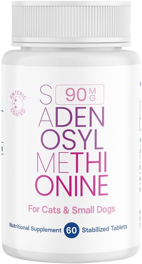 S-aDENOSYLmethionine (Same)、60の上塗を施してあるタブレットが付いている小さい犬および猫のためのSAM-eの肝臓および頭脳の健康の補足
