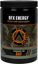 BCAA、電解質、および天然カフェインのための緑茶葉、イントラおよびポストワークアウト筋肉回復、30のサービングとのBFXエネルギー前ワークアウトの粉の補足(BlackBerry Lemonade)