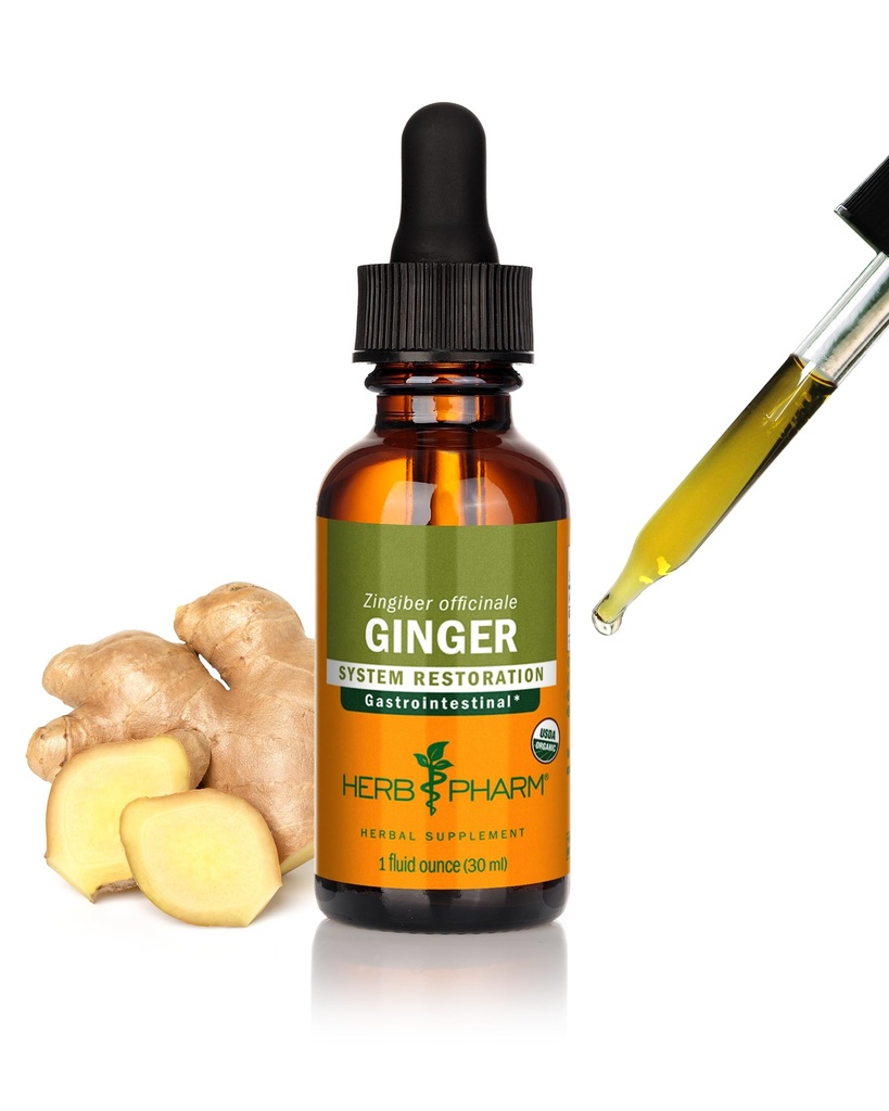 Herb Pharmは消化器サポートのための有機性ジンジャーの液体のエキスを- 1 Ounce証明しました