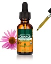 ハーブ Pharm は免疫システム サポートのための有機性 Echinacea の根の液体のエキス、有機性 Cane アルコール、1 つの Ounce (DECH01)を証明しました