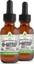 RawGuru Methylfolate 1mg +ビタミンB12 - 有機ビーガンメチル化B12 トレースミネラル - ナノ加工&強化液体式 - 300 30mlあたりのビーガンドロップのサービング、パック2