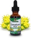 Nature's Answer Lomatium Root Extract Lomatium Dissectum - 天然ハーブサプリメント - グルテンアルコールフリー - 免疫全体の健康に理想的 - 500mg(1FL Oz)