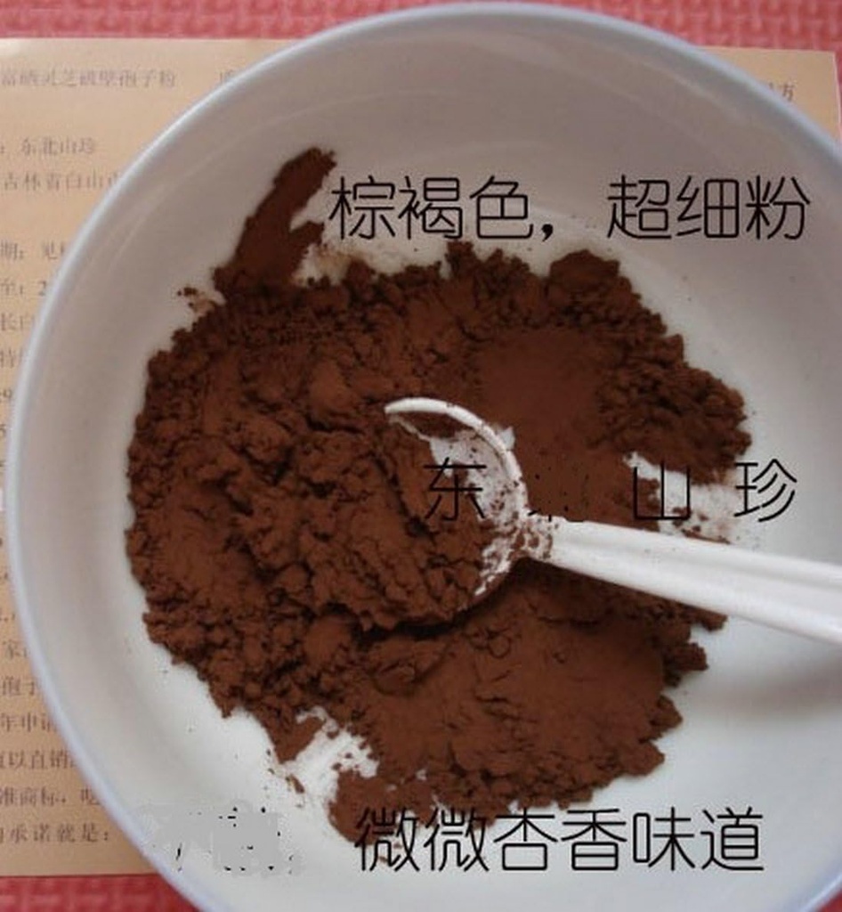 Duan-Wood 98%の貝-Broken LINGZHI Ganoderma Reishiの胞子の粉100Grams (3.5 oz。) 真空パッケージ