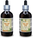 Xia Ku Cao、Prunella(Prunella Vulgaris)チンキ、有機乾燥スパイクパウダー液体エキス(ブランド名:HerbalTerra、米国で製造)2x4 fl.oz(2x120 ml)