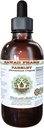 Parsley アルコールフリー液体エキス, パルズリー (Petroselinum Crispum) Root Glycerite ナチュラルハーブサプリメント, ハワイ Pharm, アメリカ 2 fl.oz