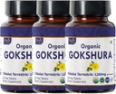 Gokshura 120錠 | Tribulus Terrestris(Gokshura) | USDA Organic Certified | 免疫力と強みをサポート | オーガニック・ナチュラル 120tab