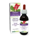 ナチュラルマ・バーベリー(Berberis vulgaris) ルーツ・バーク アルコールフリーのチンキ - 4 fl oz 液体エキス・イン・ドロップ - ハーブサプリメント - ビーガン