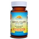 活動的な Folate の葉酸 5-MTHF の Methylfolate の前の中心及び頭脳の開発のためのスマートな選択は合成の葉酸を模倣します