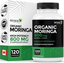 活性モーリンガリーフサプリメント800MGを2カプセルごとに更新 - 抗酸化 - リッチモリンガOleifera - 良い健康とウェルネスを促進 - 簡単にスワロー - カナダ製 - 120カプセル