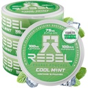 向知性エネルギーカフェインポーチ•100mgカフェイン•アルファGPC•ハペルジンA&エッセンシャルビタミン•砂糖フリー•ココナッツ繊維技術•クールミントフレーバー•缶あたり15袋(パッケージ4)