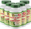 Sunshine Naturals Guisazo & Chancapiedra Herbal Blend、ウェルネスサポートのための自然な栄養補助食品、90カプセル。 5パック