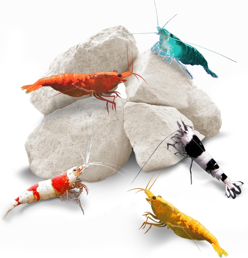 SunGrowエビロック、Calcium、Crayfish、Hermit Crab、Snails、Crustacean Care、Crystal Red、Amano、Ghost Shrimps、Nano Tankアクセサリ、Fish Tank用品の水族館の装飾