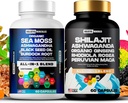 Holistic Herculesの古典的なコンボの束-海苔3000mgの黒い種2000mgのAshwagandha 1000mgのShilajit 5000mgのPanax Ginseng 1500mgのペルーのマカ2000mg、1のすべてはパックを補います