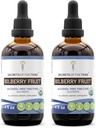 Tribe Bilberryのフルーツのアルコールフリーの液体のエキス、USDAの有機性Bilberry (Vaccinium Myrtillus)の乾燥されたフルーツのチンキの補足(2x4 FL OZ)の秘密