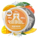 向知性エネルギーカフェインポーチ•100mgカフェイン•アルファGPC•ハペルジンA&エッセンシャルビタミン•砂糖フリー•ココナッツ繊維技術•マンゴー味•缶あたり15袋(パッケージ1)