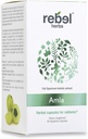 Rebel Herbs Amlaカプセル(アマラキ) - 免疫サポート、ビーガン、グルテンフリー、アーユルヴェーダ、抗酸化剤、認定有機アムラ