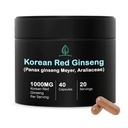 ホリスティック・ビン・韓国の赤いGinsengのカプセルの純粋なPanaxのGinsengの補足  完全菜食主義者の、非GMO、注入口無し  Ginsenosidesで豊富な(40のカプセル)