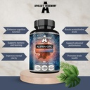 毎日の線量ごとのAPOLLOのHEGEMONYアルファGPC 600mg - 90のビーガンコリンのカプセル- 99%のコリンのAlfoscerateのサプリメント-リピッドコリン-記憶および集中のカプセル