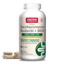 JarrowフォーミュラSaccharomyces Boulardii + 消化の健康と腸管サポートのためのMOSプロバイオティクス - サービングあたり5億CFU - 90遅れのリリースキャップ - プロバイオティクス + プレバイオティクス - 90のサービング
