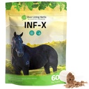 銀ライニングのハーブのEquine INF-X -よい細菌の馬のストレスの救助そして健康なレベルを支えて下さい-Equineの免疫システムのための自然なサポート-Equineの解毒のための草の補足- 1つのlb
