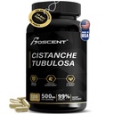 プレミアムシスタンチェTubulosa抽出500mg(120カプセル) - 50%のEchinacosides、10% Acteosides - 自然なNootropicのためのスタミナ、免疫および記憶 - 充填剤、ホルモンのバランス - 男性のための強さブースター