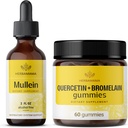 HERBAMAMA Mulleinの葉のエキスおよびケルセチンのグミーのキット - Mulleinの葉の束は2つのflのozおよびBromelainのグミーと800のmgのケルセチンを取り除きます - ビーガン、非GMO、アルコールフリー - 2のパック-