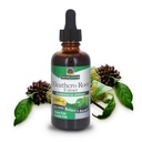 Nature's Answer アルコールフリーの Eleuthero Root, 2-Fluid Ounces | 完全菜食主義者のグルテンフリーの Eleuthero Extract