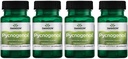 SwansonのPycnogenol 100ミリグラム30カプセル4のパック