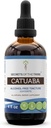 Tribe Catuabaアルコールフリー液体エキスの秘密、ワイルドクラフトのCatauaba(Erythroxylum vacciniifolium)ドライバークチンチャーサプリメント(4 FL OZ)