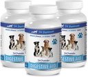 digestive enzymes for dogs 8 oz - DOG DIGESTIVE AID PROBIOTICS - NATURAL APPROACH - SOLUTION TO BAD BREATH AND GAS - COUNTER DIARRHEA - dog probiotics usa - 3 Bottles (180 Treats)