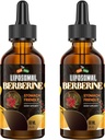 Berberine Supplement with Ceylon Cinnamon 3000mg - High Bioavailability Liposomal Berberine Liquid Drops, Berberine HCL Complex Plus Turmeric Supplements, AMPK Activator, Suitable for Women,Men-120ml