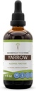 Secrets of the Tribe Yarrow Alcohol Liquid Extract, Yarrow (Achillea millefolium) Dried Leaf and Flower Tincture Supplement (4 FL OZ)