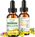 Mullein Drops for Lungs, Lung Detox & Cleanse for Smoker, Organic Mullein Leaf Extract for Lungs w. Elderberry, Ginger, Mullein Tincture Alcohol Free for Respiratory Lung Health 2 FL/OZ