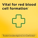 Nature Made Iron 65 mg (325 mg Ferrous Sulfate) Tablets, Dietary Supplement for Red Blood Cell Support, 180 Tablets, 180 Day Supply (Pack of 2)