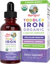 MaryRuth Organics Iron Supplement for Toddlers | Liquid Iron Supplement for Children Ages 1-3 | Iron Supplement for Iron Deficiency | Ferrochel | Sugar Free | Vegan | Non-GMO | Gluten Free | 2 Fl Oz