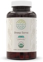 HerbEra Sheep Sorrel USDA Organic 120 Capsules | Natural Herbal Supplement | Certified Organic Vegetarian Capsules and Organic Sheep Sorrel (Rumex Acetosella) Dried Herb (120 Capsules)