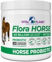 Vital Planet - Flora Horse Probiotic, High Potency Equine Probiotics with Prebiotics, 40 Billion Live CFU from Multiple Strains, Digestive and Immune Support, 180 Delayed Release Capsules (180 Days)