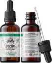 Buchu Tincture、有機Buchuのエキス(Agathosma Betulina)は葉の健康の補足、風邪-出版物された有機性野菜のグリセリン2のoz、670のmgで非GMOを乾燥しました