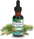 Nature's Answer Horsetail Extract Alcohol Free 1 Oz Super Concentrated Promotes Healthy Hair, Skin & Nails