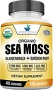 American Standard Supplements Organic Sea Moss, Bladderwrack & Burdock Root Capsules - 1200mg Seamoss, 1200mg Bladderwrack, 225mg Burdock Root Per Serving - 120 Capsules, 40 Servings
