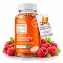 ビタミンB複合体、ビタミンC、亜鉛、ビタミンD、ケルセチンBromelain、Echinacea - 60のカウントで子供のための子供の免疫サポートガミー - 毎日の免疫ブースターサプリメントケルセチンガミー