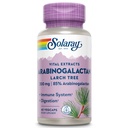 SOLARAY アラビノガラクタン、Larch Tree Extract 300mg | 健康な腸と免疫システムサポートのためのプレバイオティック繊維 | 60 VegCaps