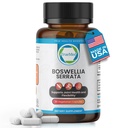 Boswellia Serrata 600mg 65のBoswellicの酸のエキスは共同慰め、柔軟性及びMobilityの自然な草のウェルネスの補足のビーガン、非GMOのグルテンフリー90のベジのカプセルを支えます。